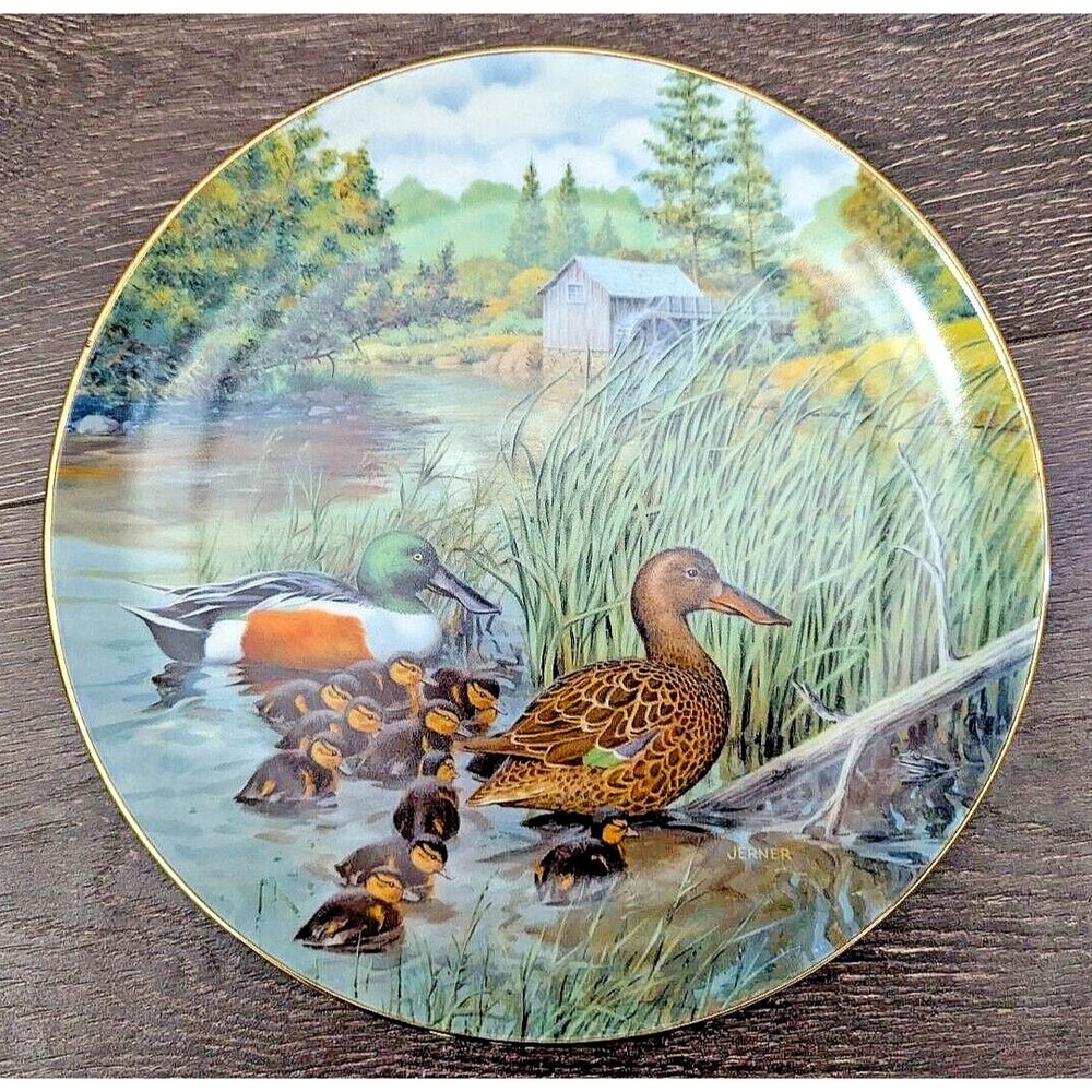 The Northern Shoveler 1987 Collector Plate Bart Jerner plate #9881E Bradex #84-k